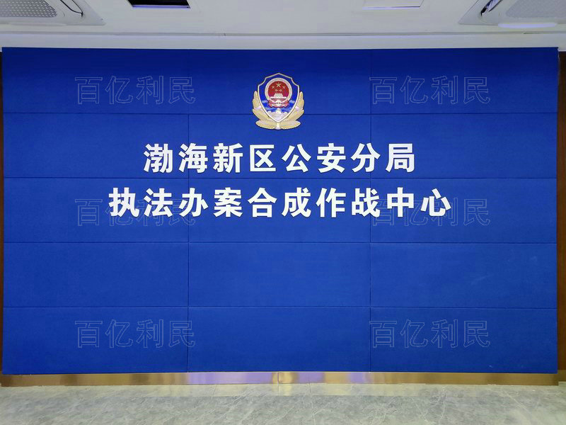 重点工程合作案例